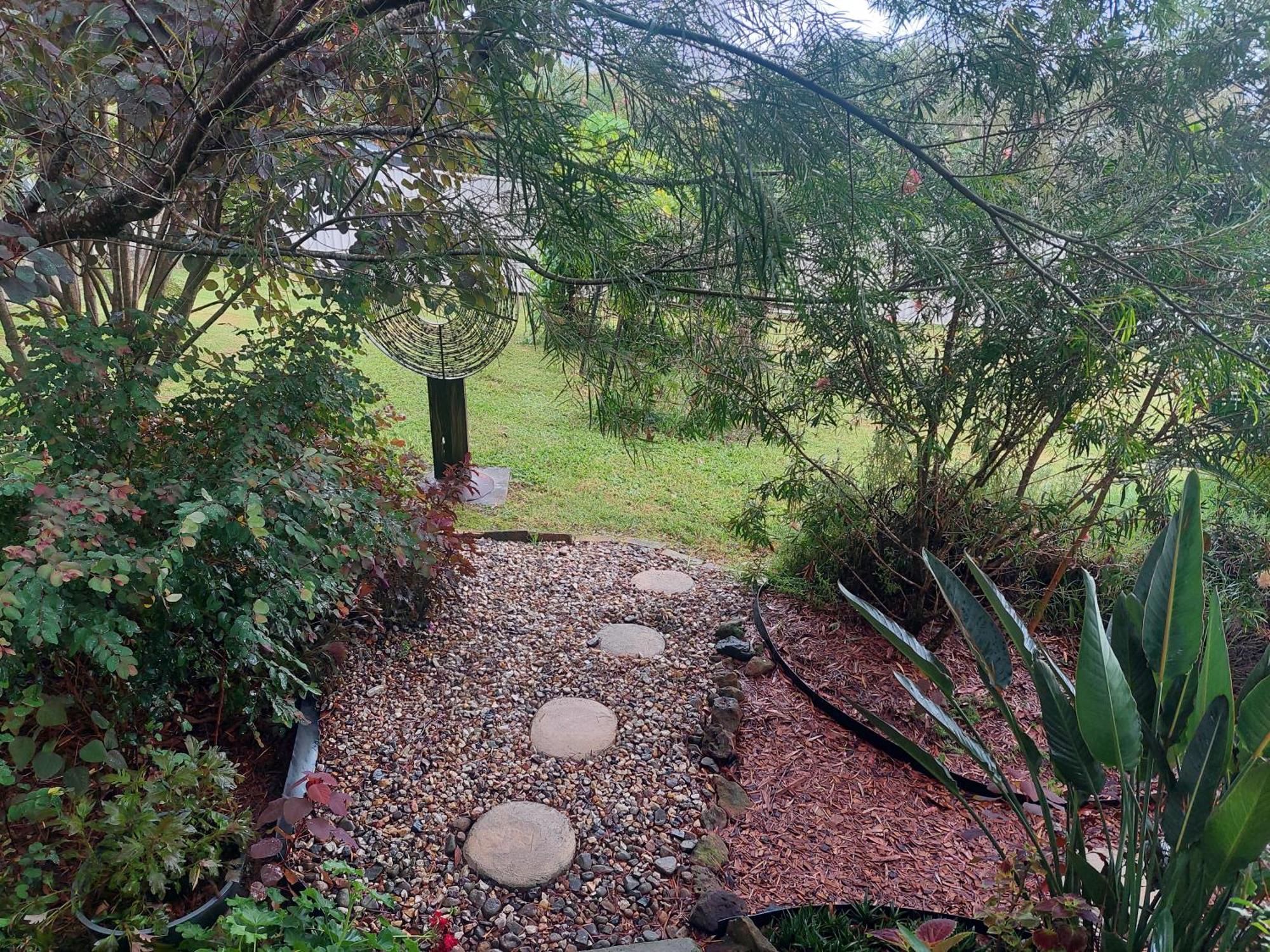 Kyogle Comfy Homestay Luaran gambar