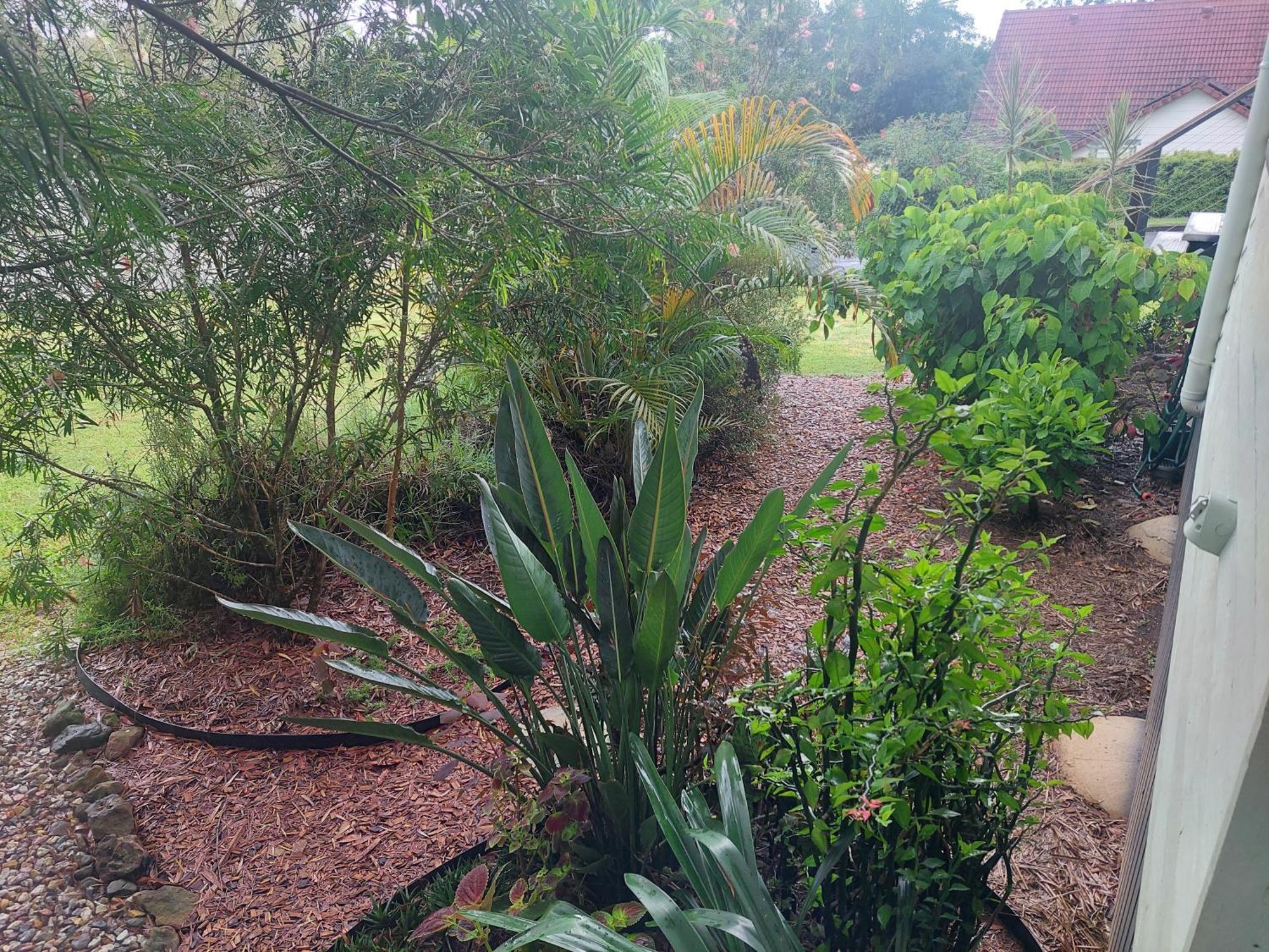 Kyogle Comfy Homestay Bilik gambar